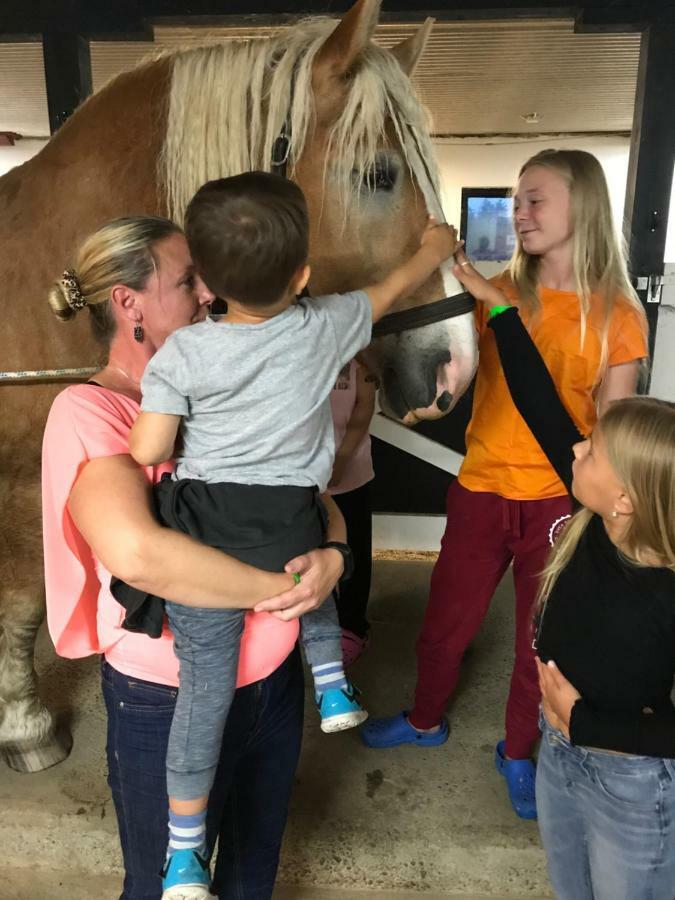 Vallby Farm Camp أوربرو المظهر الخارجي الصورة